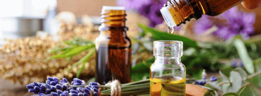 meeting nature halfway 11